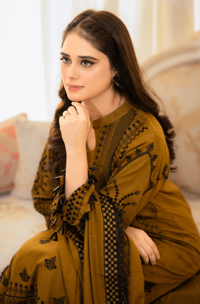 3PC EMBROIDERED DHANAK SUIT - RO - 200 - Rangoli Store