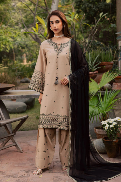3PC EMBROIDERED DHANAK DRESS BT-2985