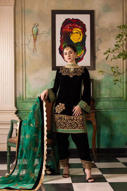3PC EMBROIDERED MICRO 9000 VELVET DRESS - RO-531